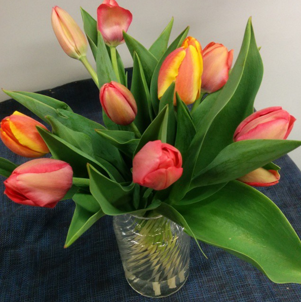 Tulips