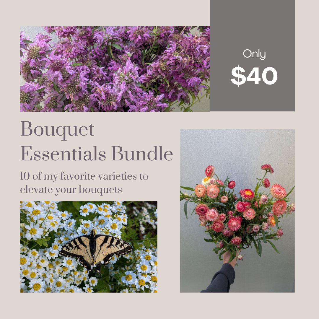 Bouquet Essentials Bundle