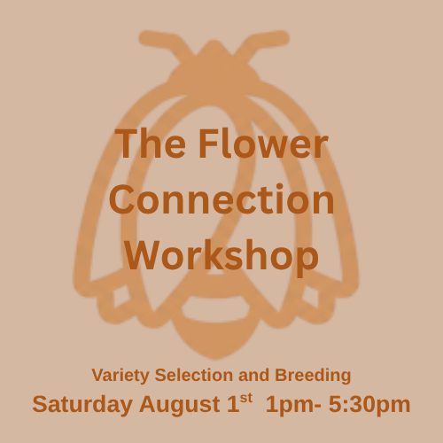The Flower Connection Workshop August 1st - Variety Selection and Breeding