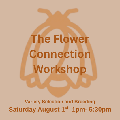 The Flower Connection Workshop August 1st - Variety Selection and Breeding